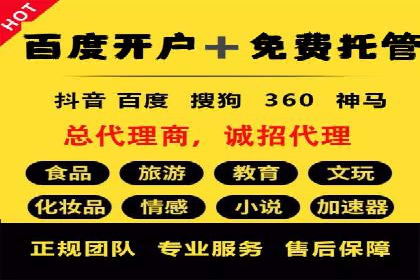 成功SEM推广代运营案例分享